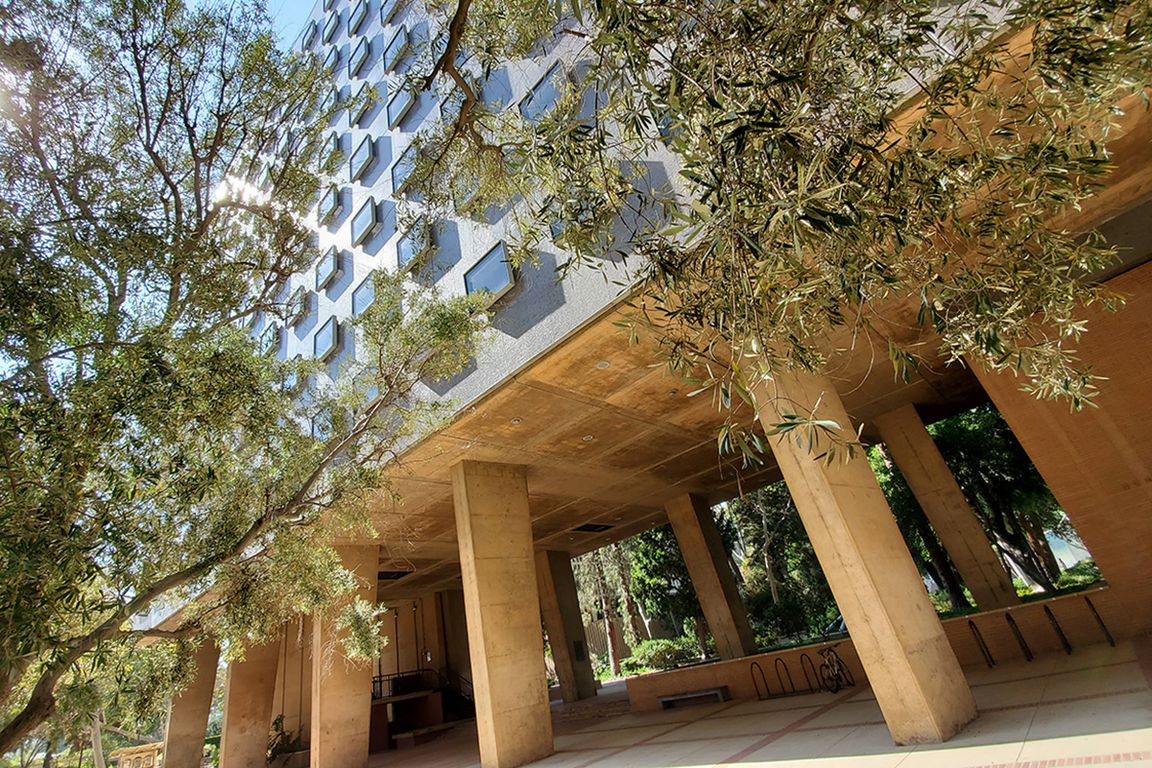 Education, research awards empower UCLA members to expand university’s global reach – Newsroom | UCLA